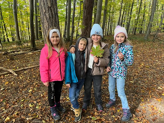 Natur beobachten und spielen im Wald