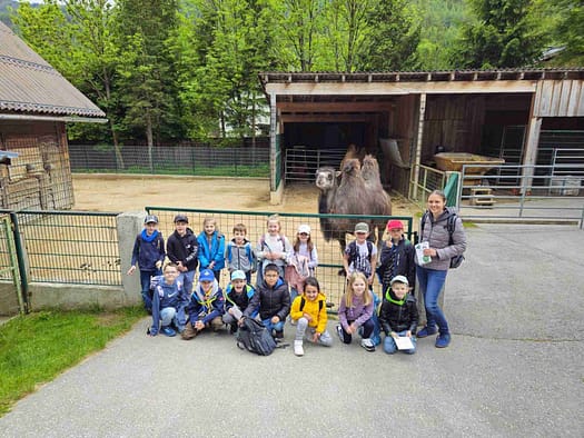 Tagesausflug zum Weißen Zoo